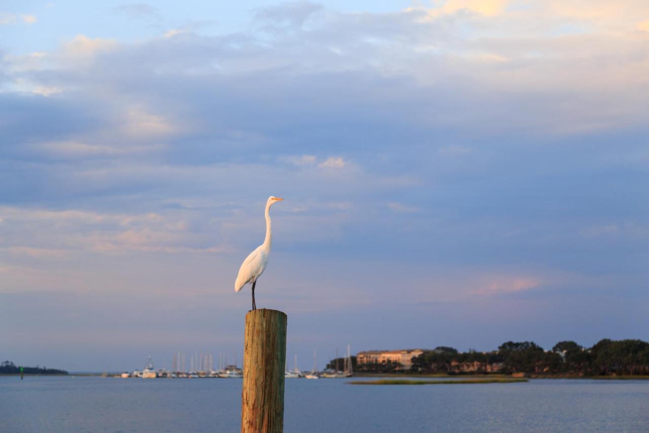 101 Dune Lane Hilton Head Island Bagian luar foto